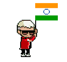 india flag pixel Sticker by DJ Snake