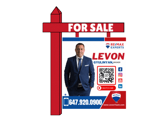 levonteam giphyupload toronto vaughan levon Sticker