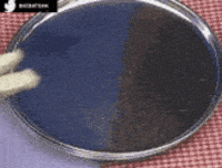 Breakfast Indian Food GIF