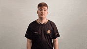Esports Gg GIF by ECSTATIC