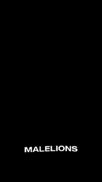 Dutchweek Dutchweeksaalbach GIF by Malelions