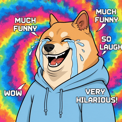 Shiba Inu Wow GIF by Doge Pound