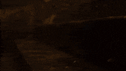 Raining The Elder Scrolls GIF by Xbox