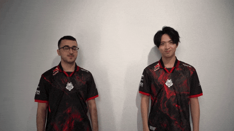 League Of Legends Lol GIF by G2 Esports