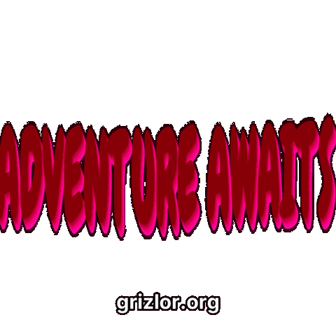 Fun Bear Sticker by grizlor