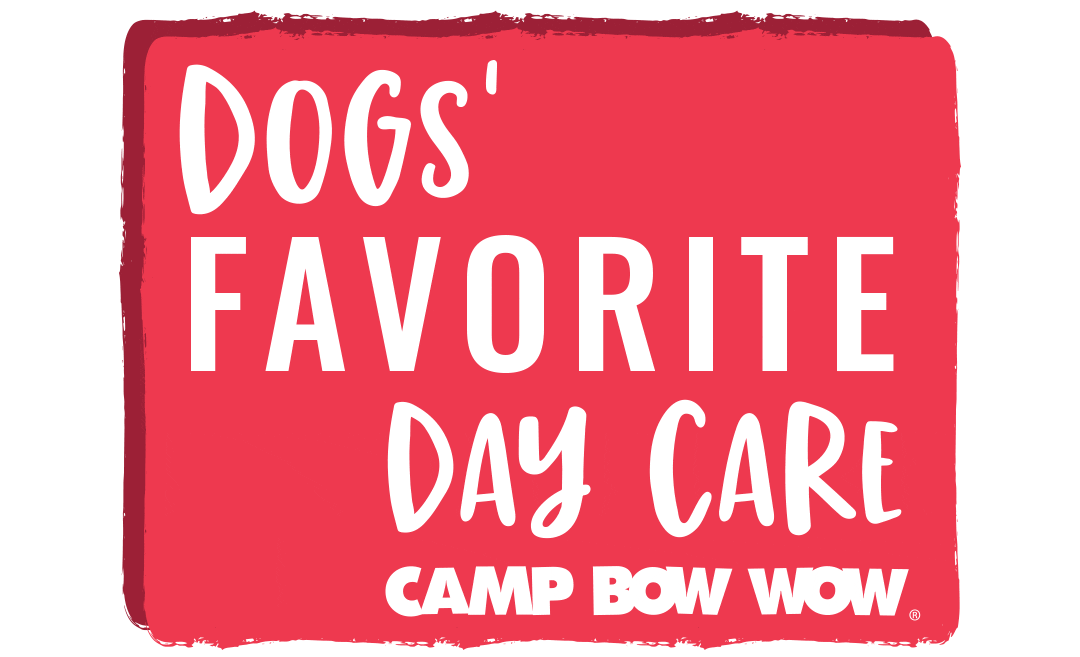 Dog Sticker by Camp Bow Wow