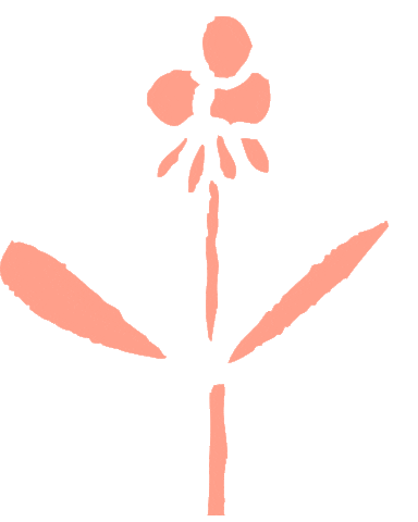Pink Women Sticker by Wundercurves
