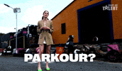 Meme Reaction GIF by Italia's Got Talent