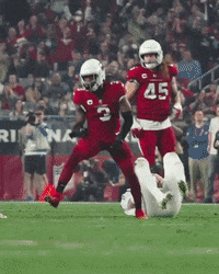 Excited Lets Go GIF by Arizona Cardinals