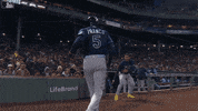 Major League Baseball Sport GIF by MLB