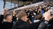 GIF by Heart of Midlothian