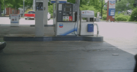 GIF by Domani