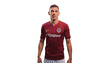 Goal Acsparta Sticker by AC Sparta Praha