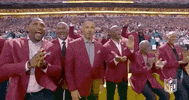 Super Bowl Football GIF by NFL