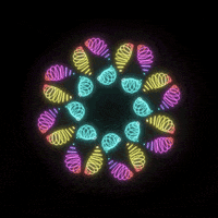 Art Mesmerizing GIF by xponentialdesign