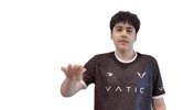 Brawl Stars Esports GIF by Vatic