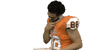 Football Sport Sticker by Carson-Newman Athletics
