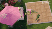Lizard GIF by NETFLIX