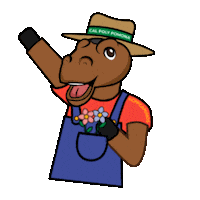 Csu Learn By Doing Sticker by CPP Project CAMINOS