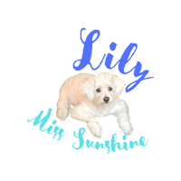 Vegan Pup Sticker by Viramino