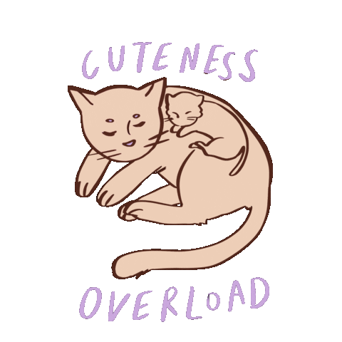 fraisiest cat kitten cuteness cuteness overload Sticker