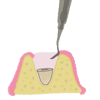 Dentist Odonto Sticker