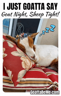 Tired Good Night GIF by Goatta Be Me Goats! Adventures of Java, Toffee, Pumpkin and Cookie!