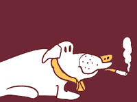 Dog Smoke GIF by Dax Norman