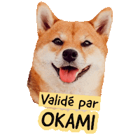 Pawsitivepetambassadeur Sticker by Pawsitive pet