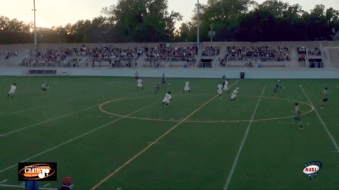 flikulti ultimate frisbee flik GIF