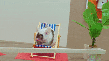 Weekend Vacances GIF by CANAL+