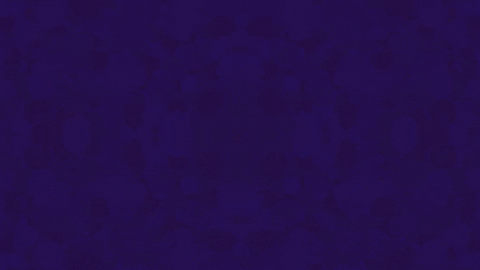 Art Design GIF by jorgemariozuleta