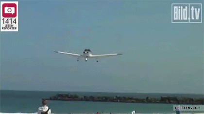 shitting GIF