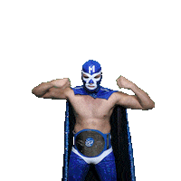 maskadorestacoshopaz wrestling wrestler lucha libre lucha Sticker
