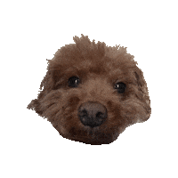 유 Sticker by hitejinro
