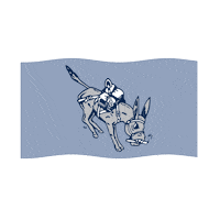 College Flag Sticker by coloradoschoolofmines