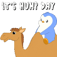 Wednesday Morning Penguin Sticker by Pudgy Penguins