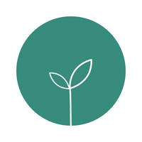 codeseed leaf bloom codeseed Sticker