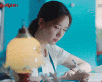 선지 GIF