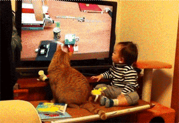 cat child GIF