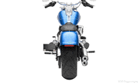 Harley Davidson Haley GIF by 007Plate.com