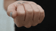 #getcliterate GIF by Pulling Back The Hood: The Overdue, Under-Told Story Of The Clitoris