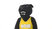 College Panthers Sticker by ODU Admission