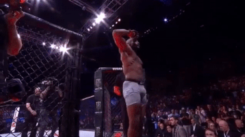 ufc 221 sport GIF by UFC
