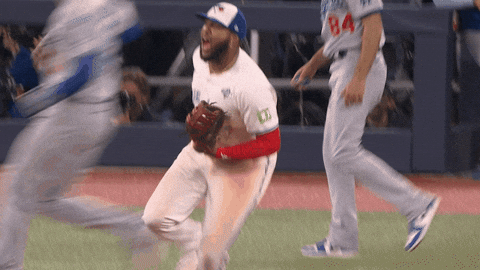 Celebrating Blue Jays GIF by Toronto Blue Jays