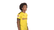 Proud Line Up Sticker by Bundesliga