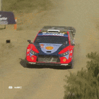 Fast Car Motorsport GIF by FIA World Rally Championship