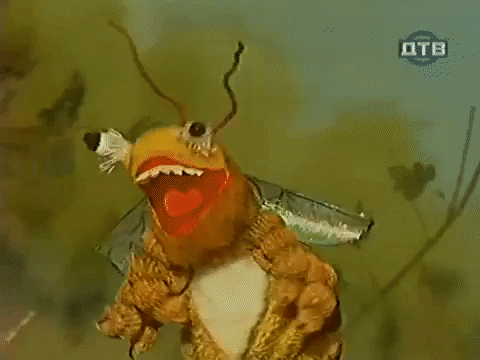 chrdk_ru giphygifmaker GIF
