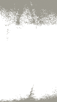 Proligue Yellowfox Sticker by SARREBOURG HANDBALL