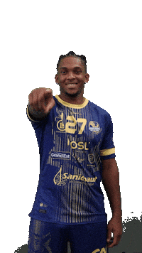 Proligue Yellowfox Sticker by SARREBOURG HANDBALL